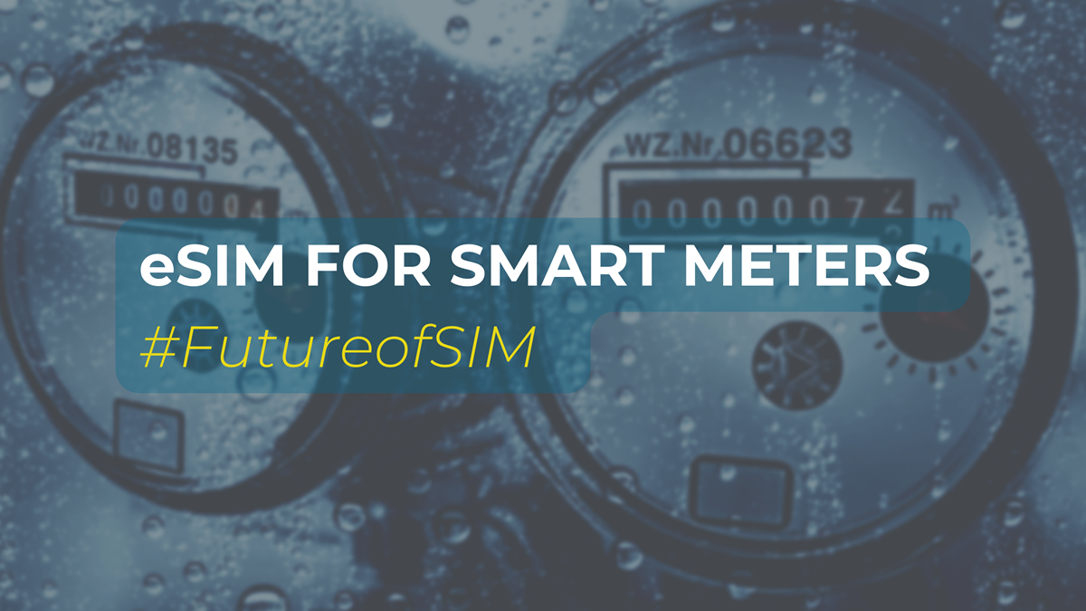 eUICC IoT SIM Smart Meter Connectivity